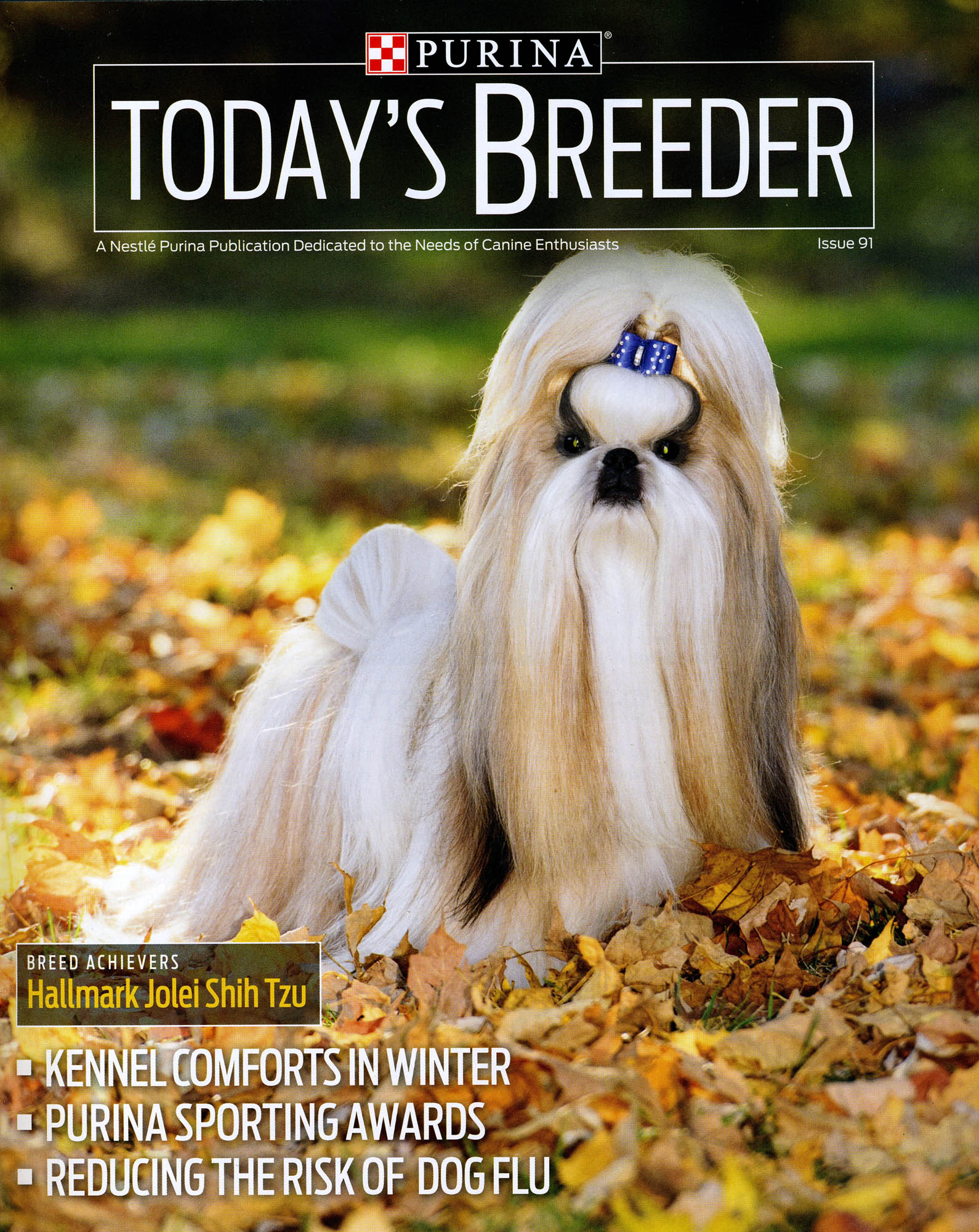 Dog portrait for Purina Today's Breeder magazine cover